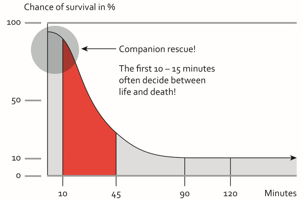 Companion rescue! Statistic 10-15 minutes